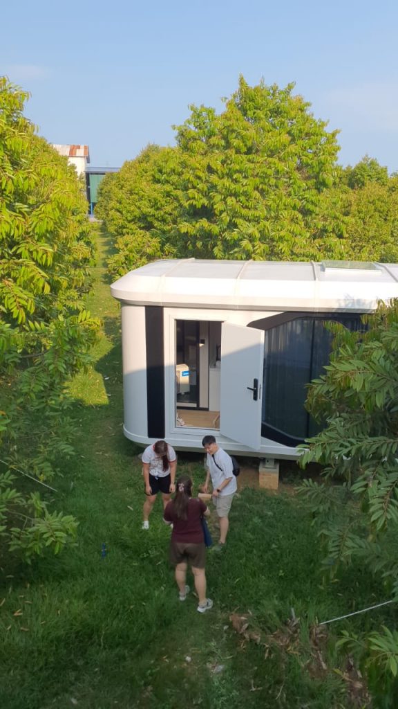 WhatsApp Image 2026-03-24 at 12.21.27 PM (3)