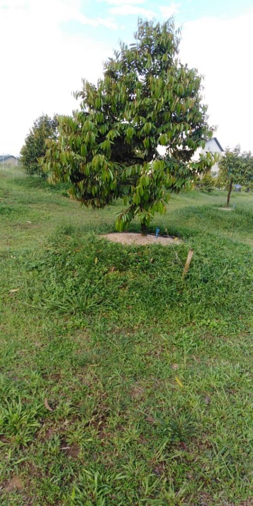 tech-max-img-invest-1-10