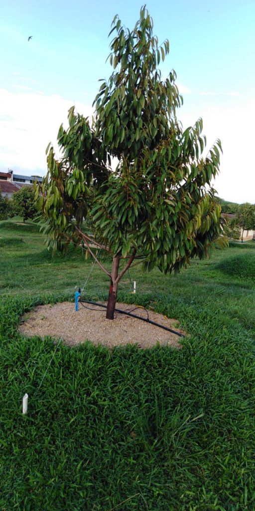 tech-max-img-invest-1-11