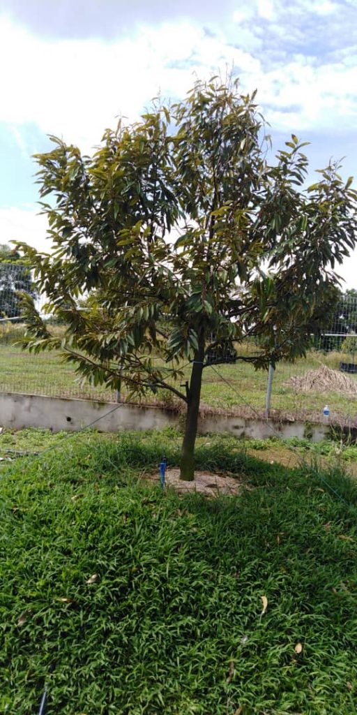 tech-max-img-invest-1-12