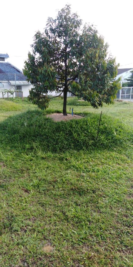 tech-max-img-invest-1-13