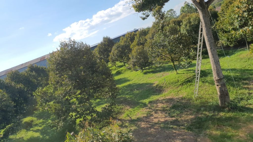 tech-max-img-invest-1-3