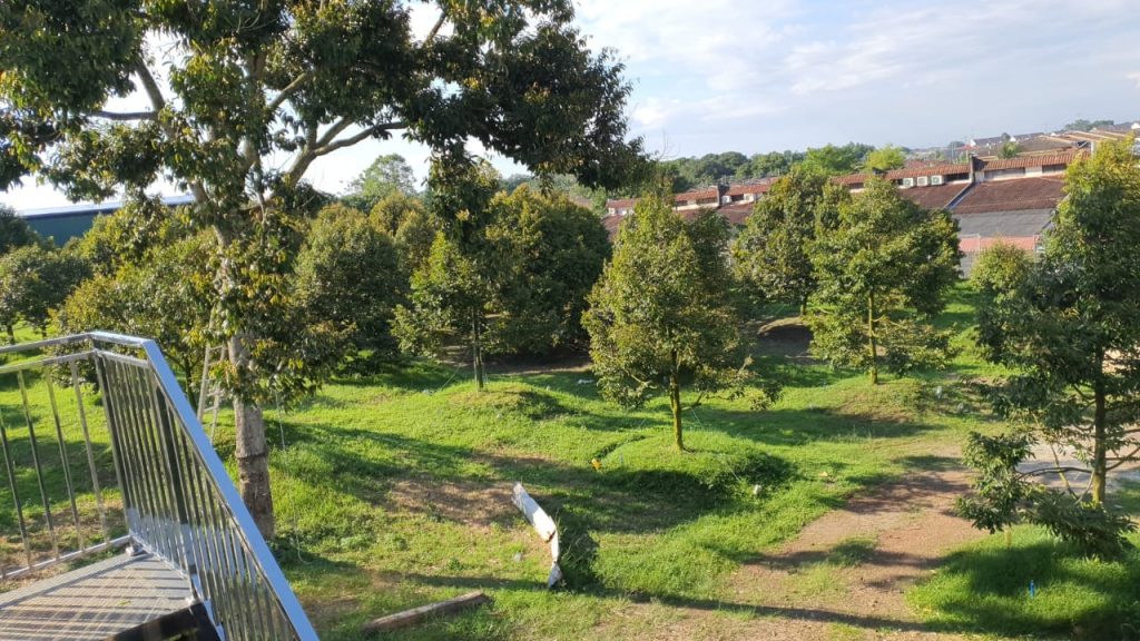 tech-max-img-invest-1-6