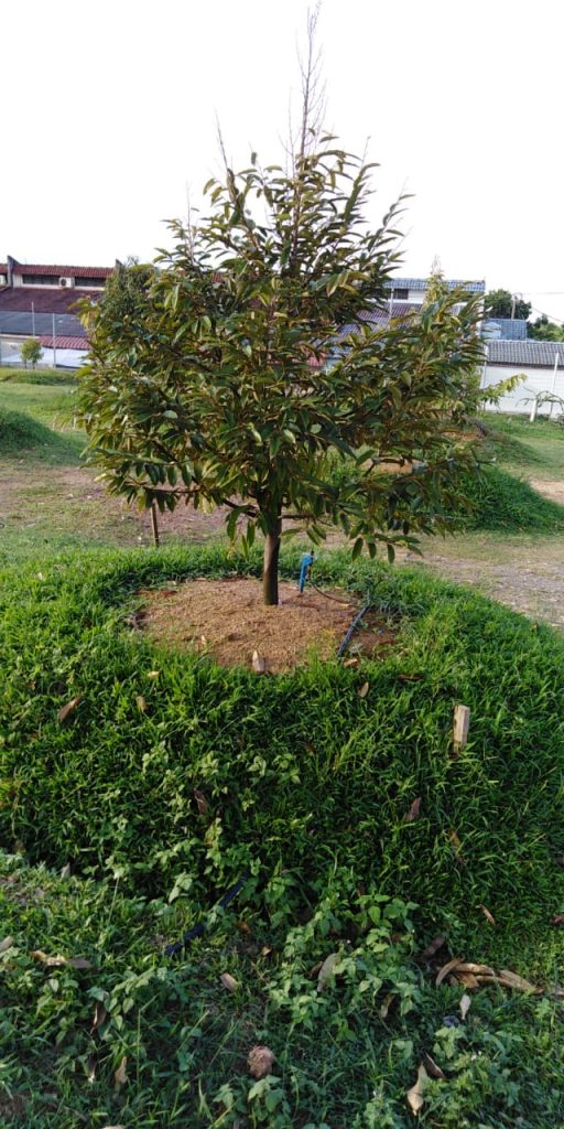 tech-max-img-invest-1-8