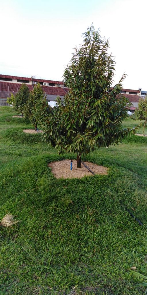 tech-max-img-invest-1-9